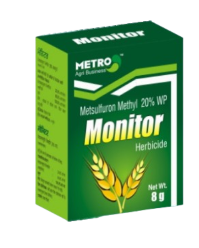 monitor