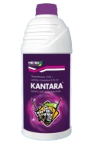 kantara