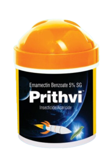 prithvi