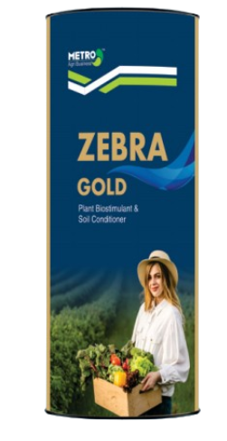 zebraGold